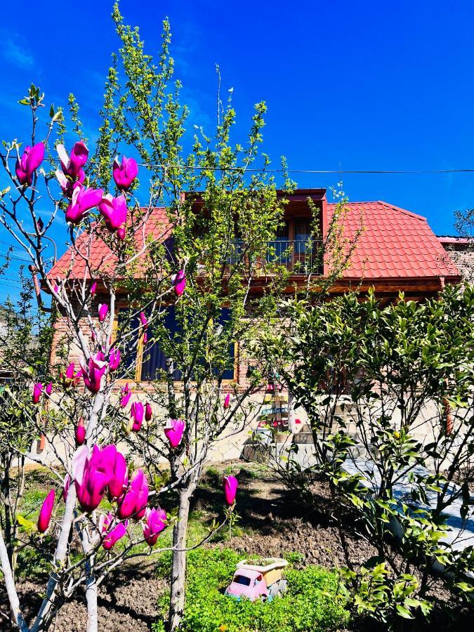 Sunshine House Villa