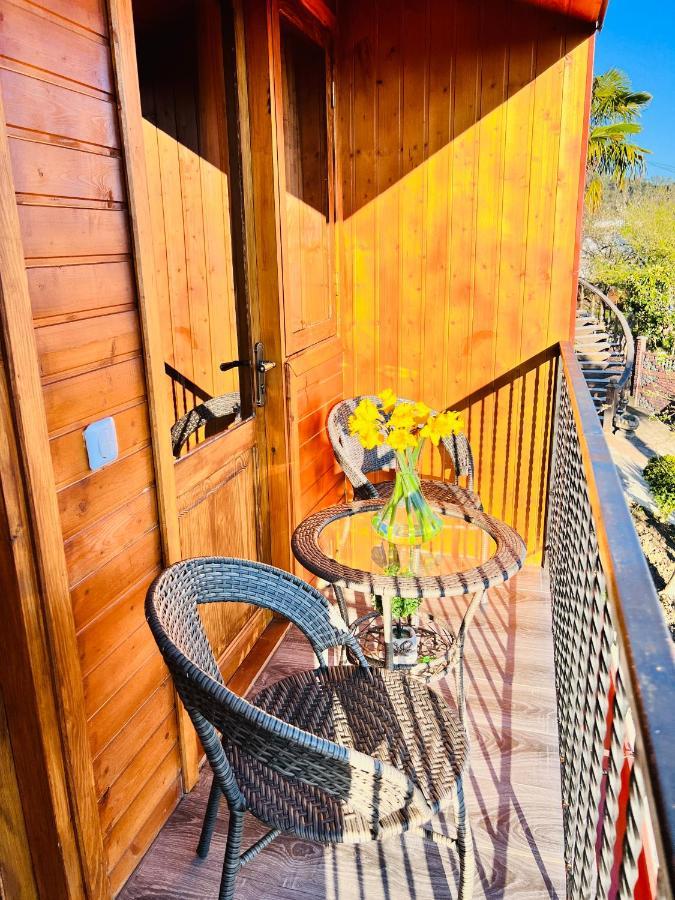 Sunshine House